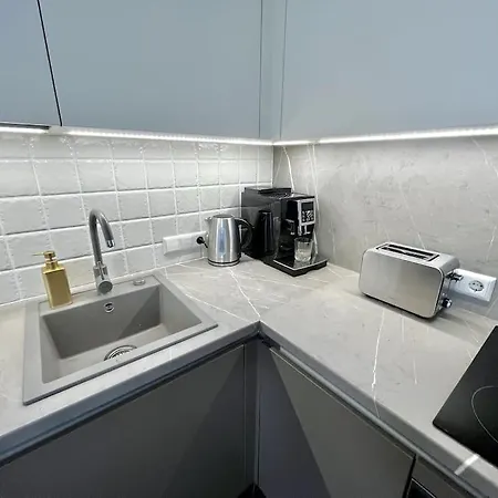 Apartment High-class In The Center. Kaunas